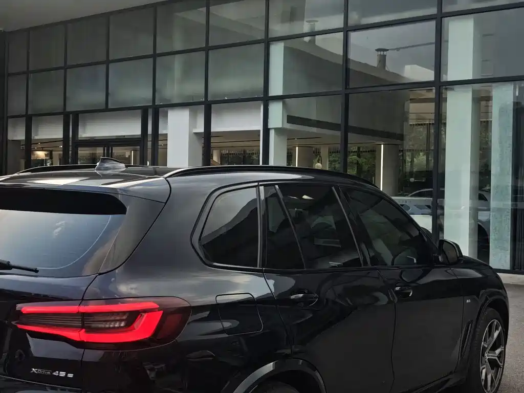 BMW X5 New Energy (Import) — миниатюра 18