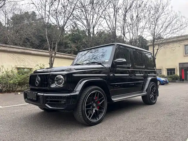 MERCEDES-BENZ G CLASS