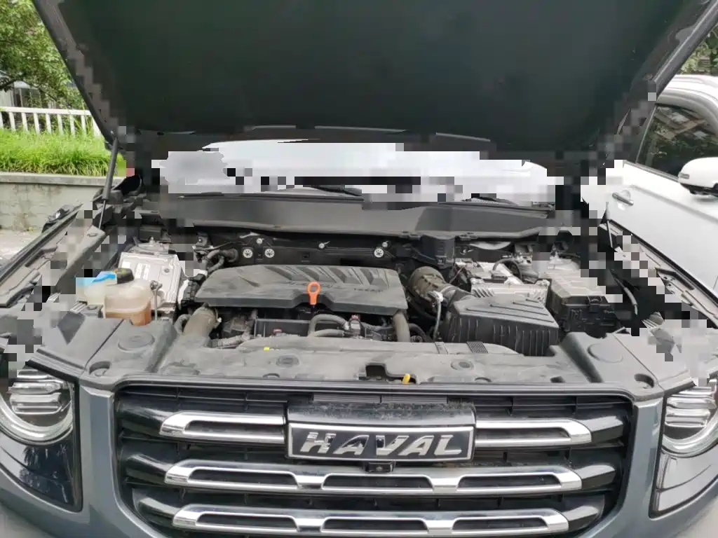 Haval Big Dog — миниатюра 16