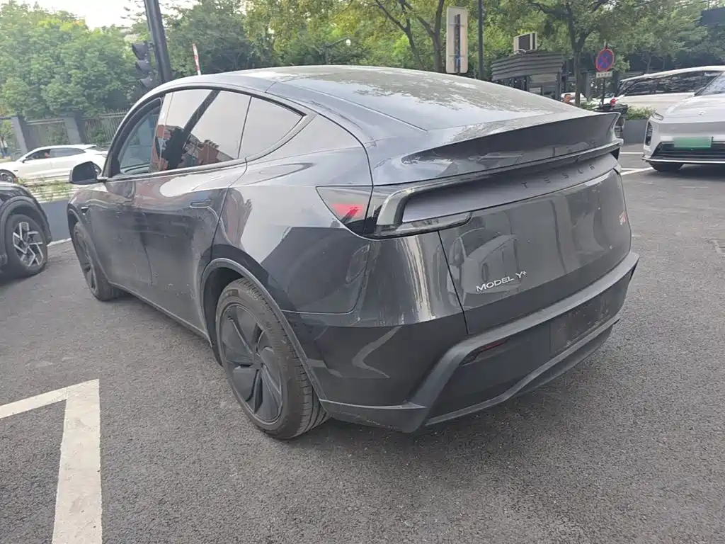 Tesla Model Y — миниатюра 5