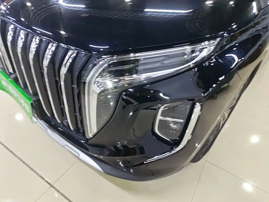 Hongqi Hongqi HS7 PHEV — миниатюра 24