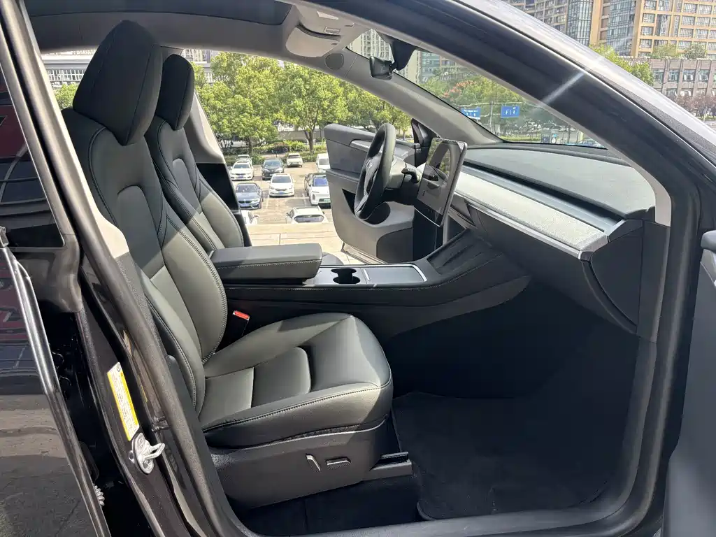 Tesla Model Y — миниатюра 10