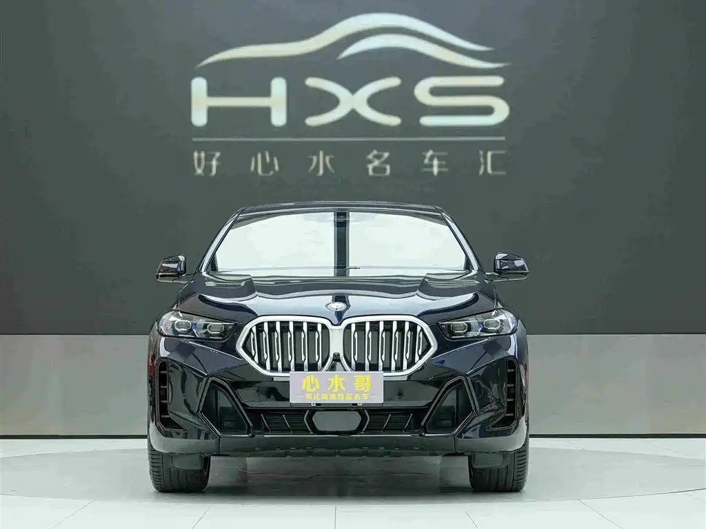 BMW X6 — миниатюра 2