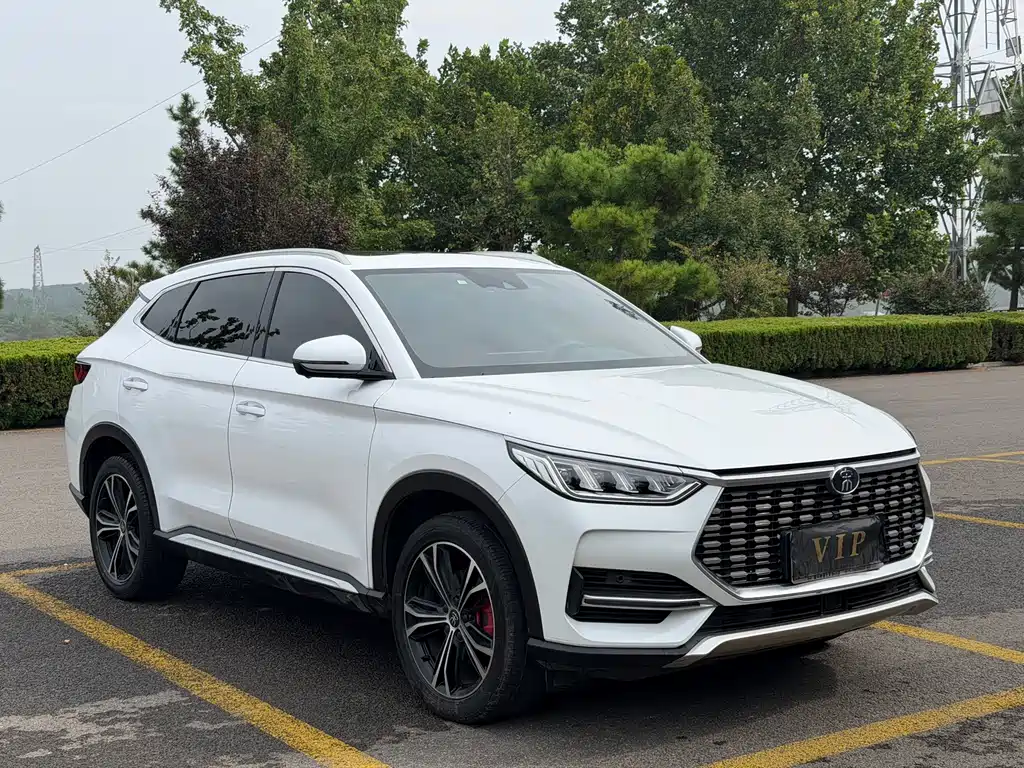 BYD PLUS — миниатюра 2