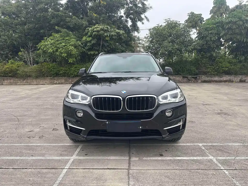 BMW X5 2014 xDrive35i Lead