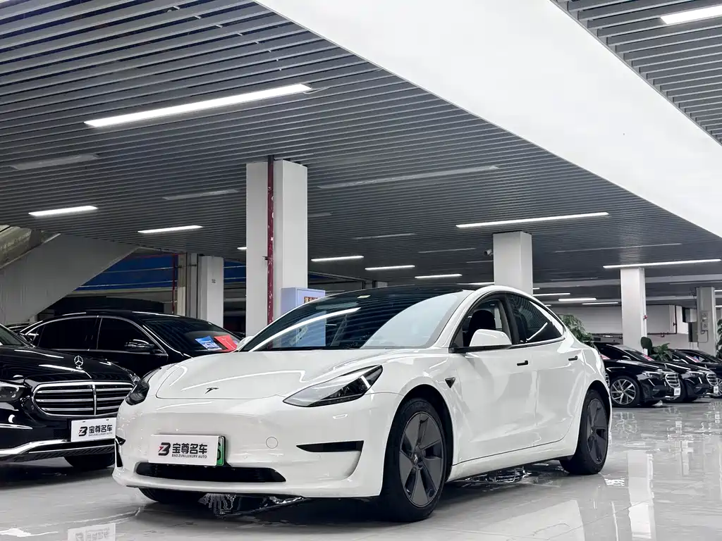 Tesla Model 3 2021