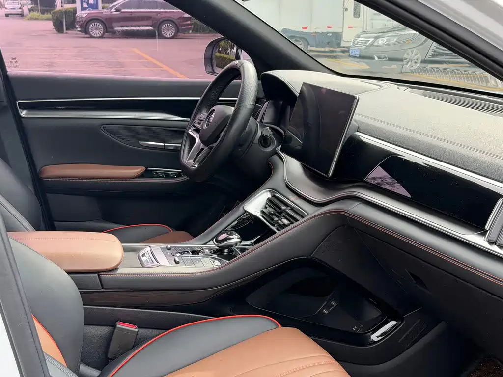 BYD PLUS — миниатюра 11