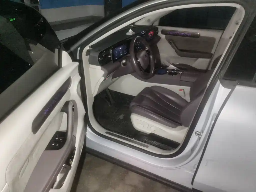 Leapmotor Leapmotor C11 — миниатюра 12