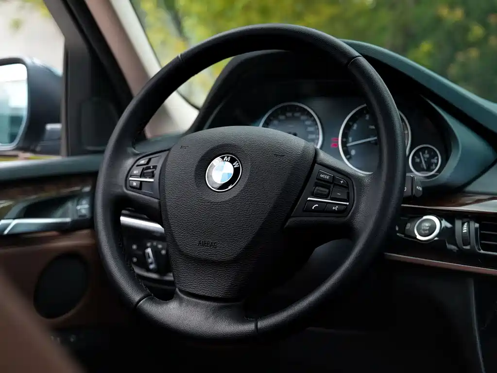 BMW X5 (Import) — миниатюра 12