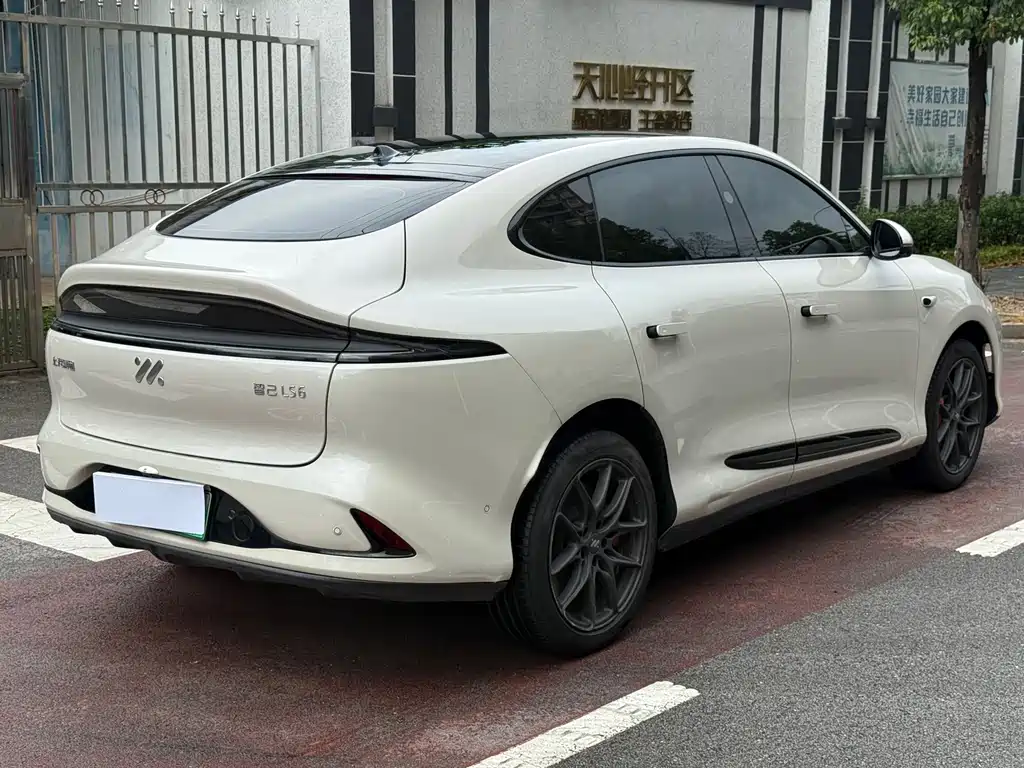 IM IM LS6 — миниатюра 4