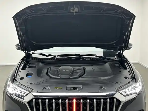 Hongqi Hongqi HS5 — миниатюра 7