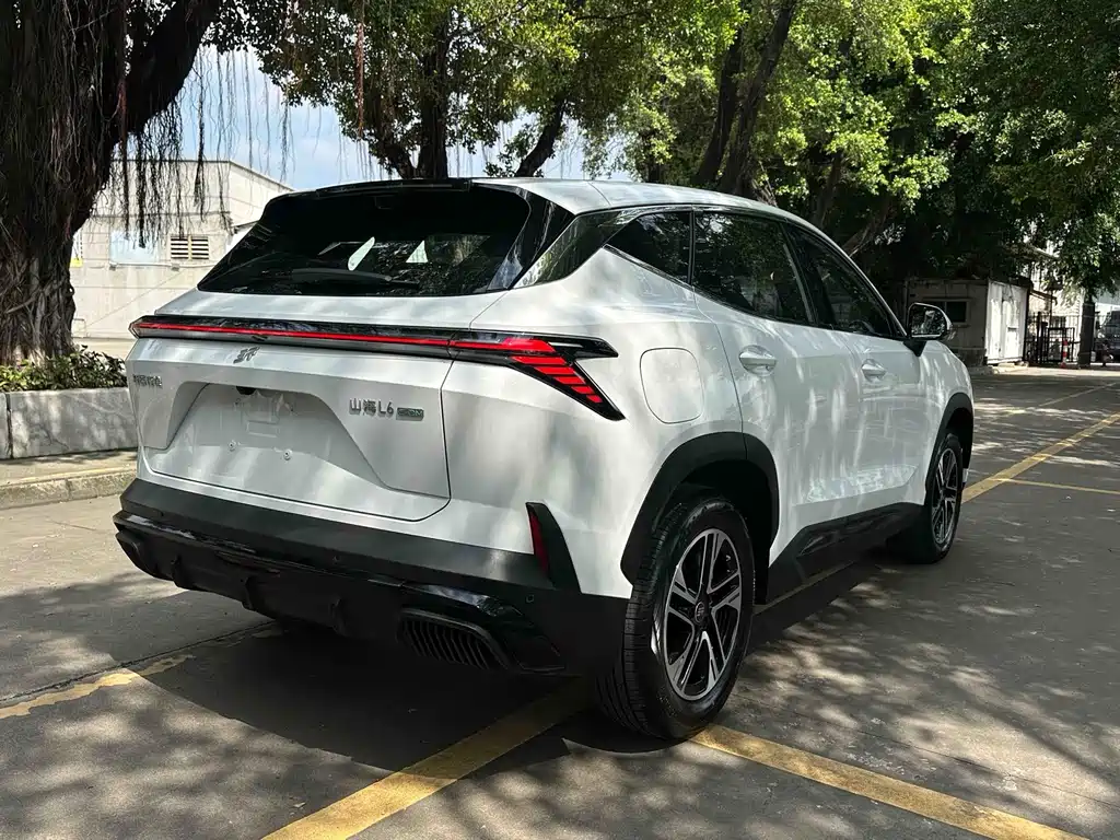 Shanhai Shanhai L6 — миниатюра 6