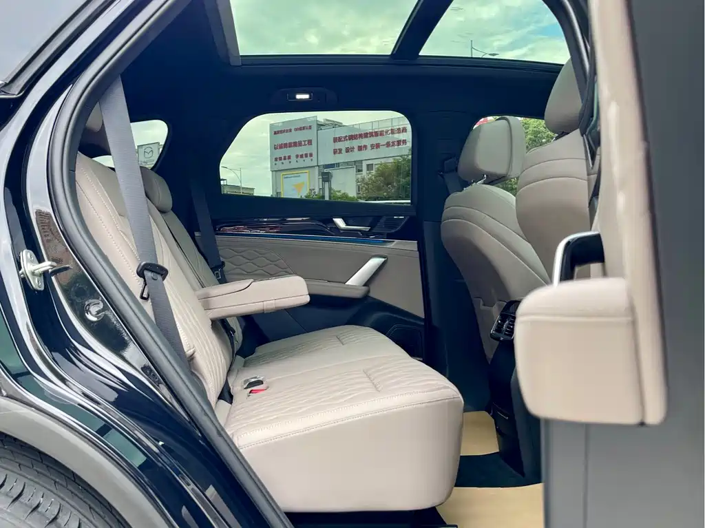 BYD Tang New Energy — миниатюра 12