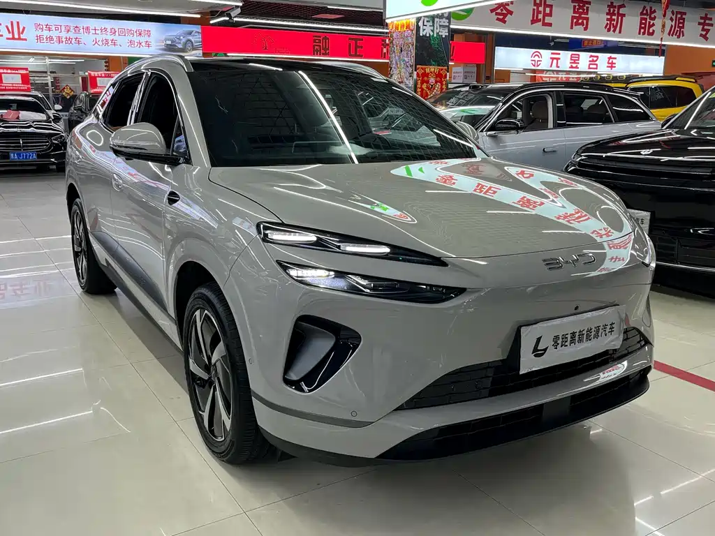 BYD Haisi 06 — миниатюра 3