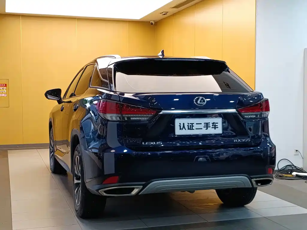 Lexus RX — миниатюра 27