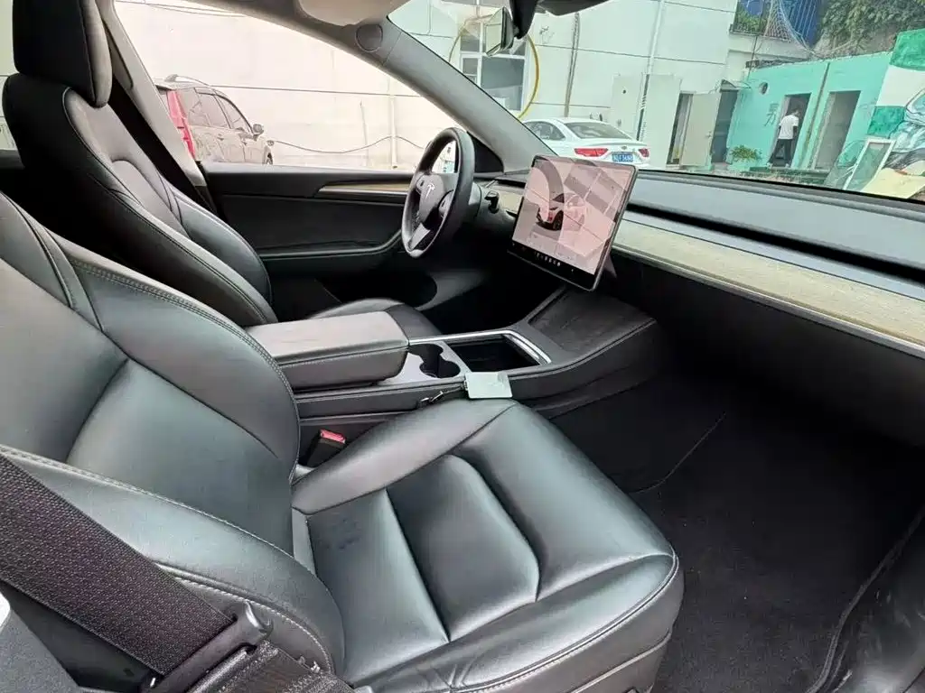 Tesla Model Y — миниатюра 7