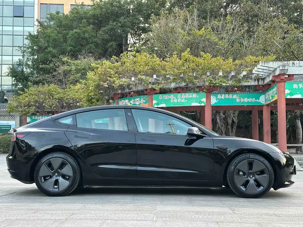 Tesla Model 3 — миниатюра 4