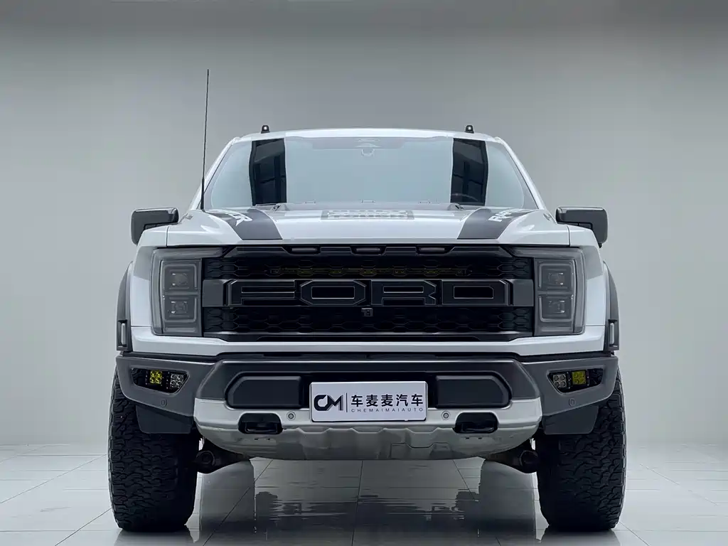 Ford F-150 Raptor — миниатюра 2