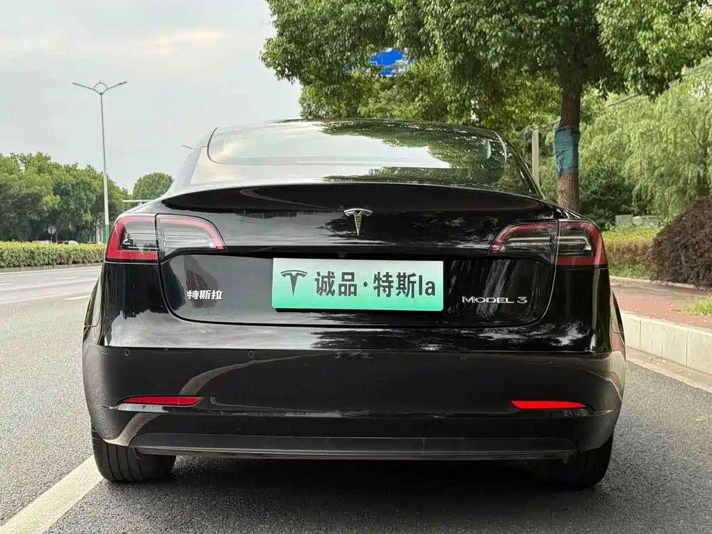 Tesla Model 3 — миниатюра 4