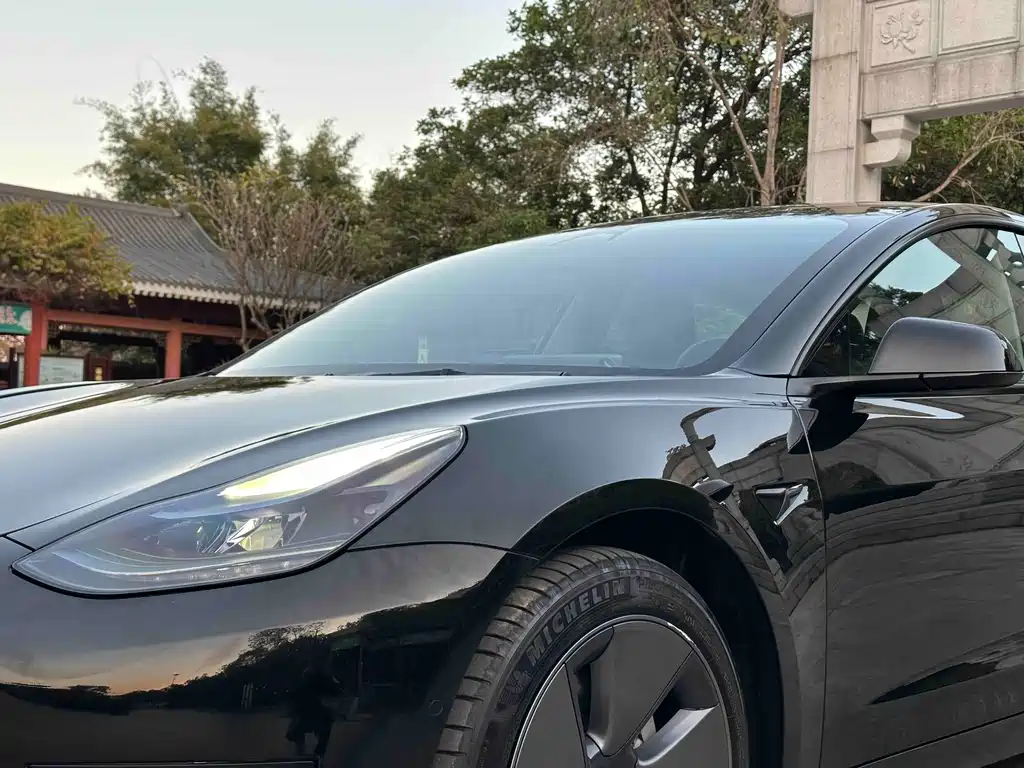 Tesla Model 3 — миниатюра 9