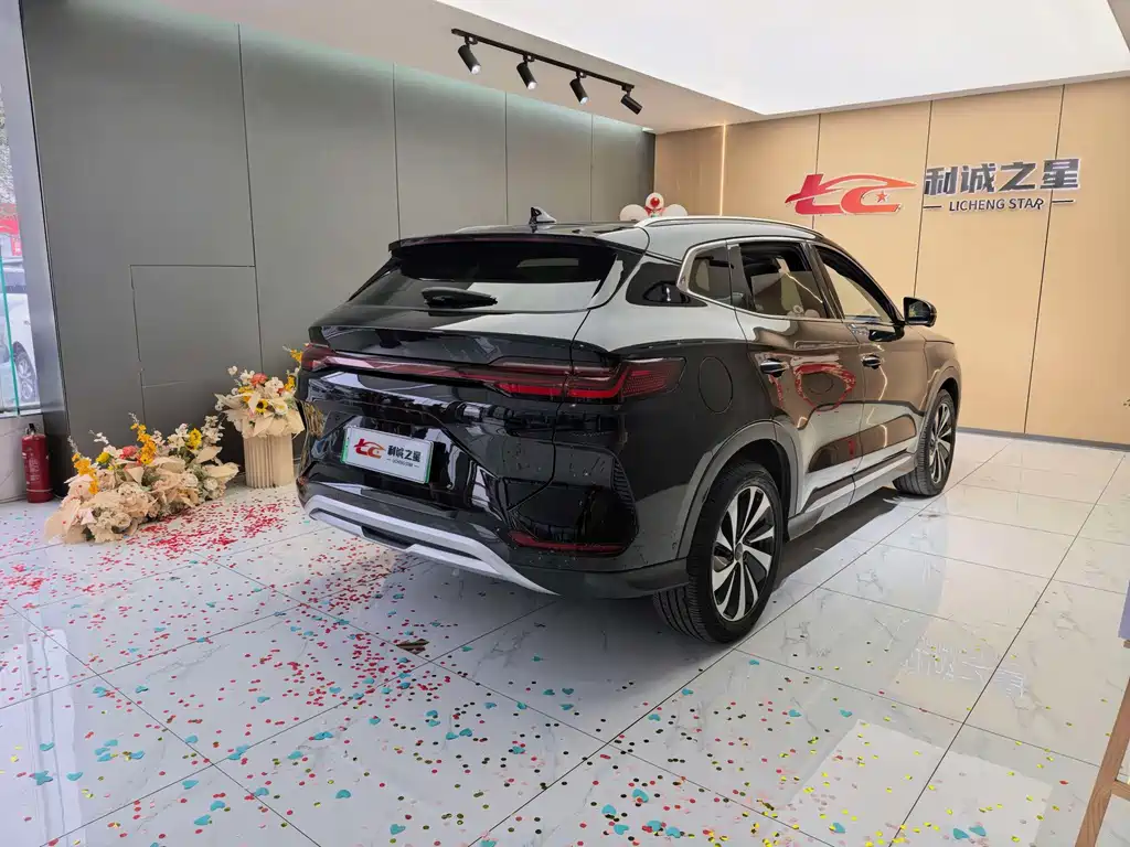 BYD PLUS New Energy — миниатюра 6