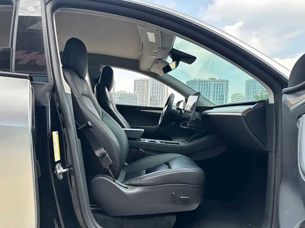 Tesla Model Y — миниатюра 28
