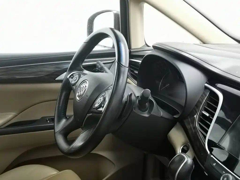 Buick GL8 — миниатюра 22
