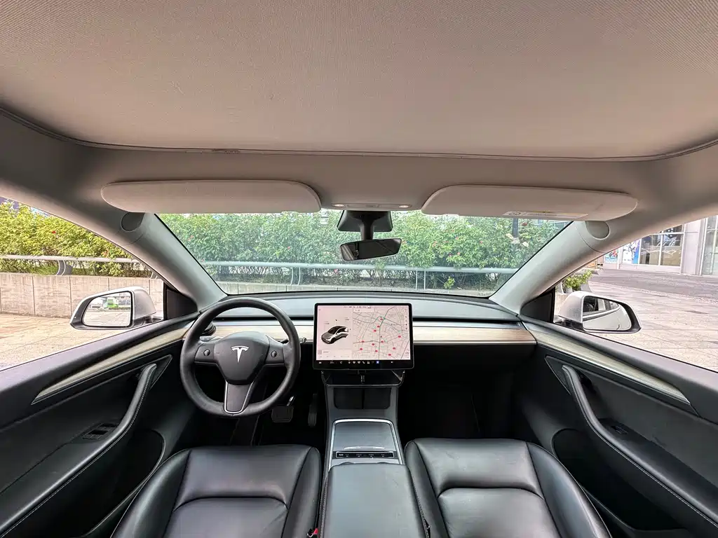 Tesla Model Y — миниатюра 15
