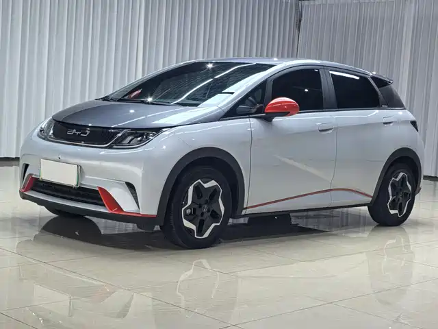 2022 BYD Dolphin