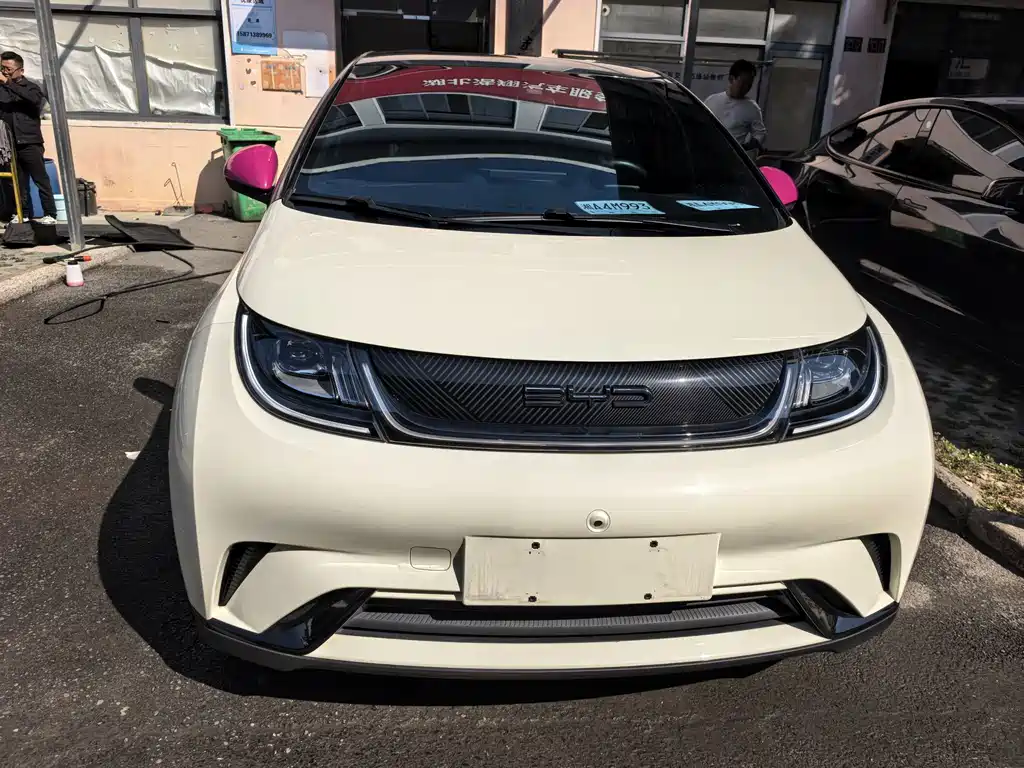 BYD Dolphin — миниатюра 2
