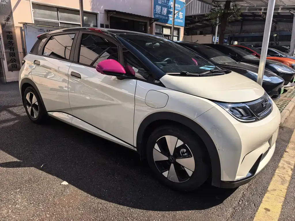 BYD Dolphin — миниатюра 3