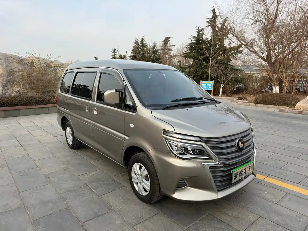 DONGFENG LINGZHI