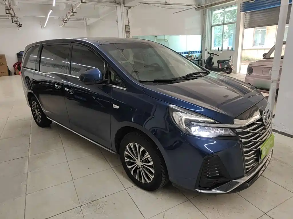 Buick GL8 — миниатюра 4