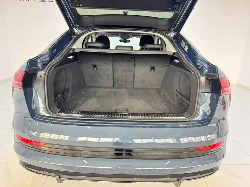 Audi e-tron (Import) — миниатюра 6