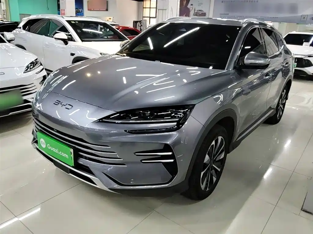 Byd PLUS New Energy 2024