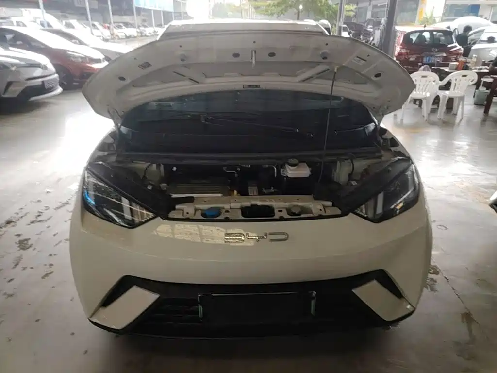 BYD Seagull — миниатюра 20