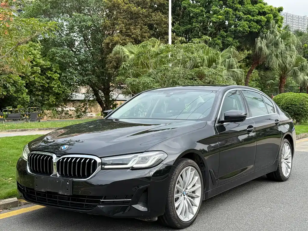 Купить BMW 5 Series