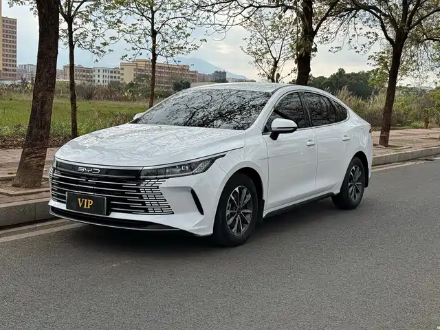 BYD DESTROYER 05 2024