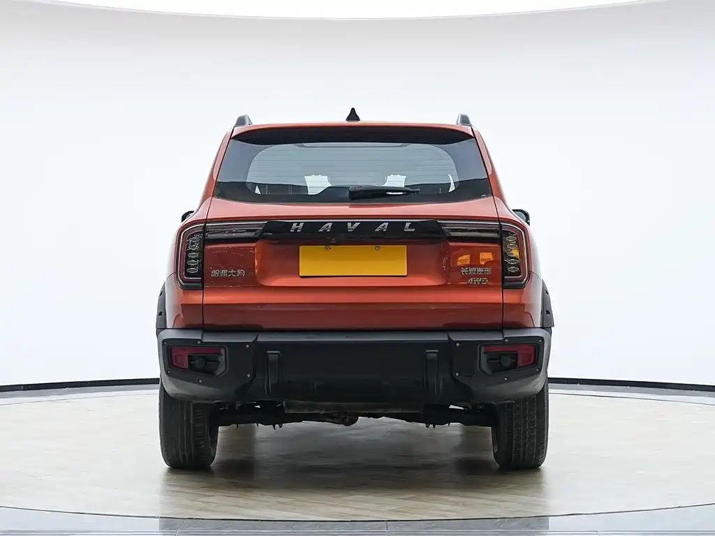 HAVAL BIG DOG