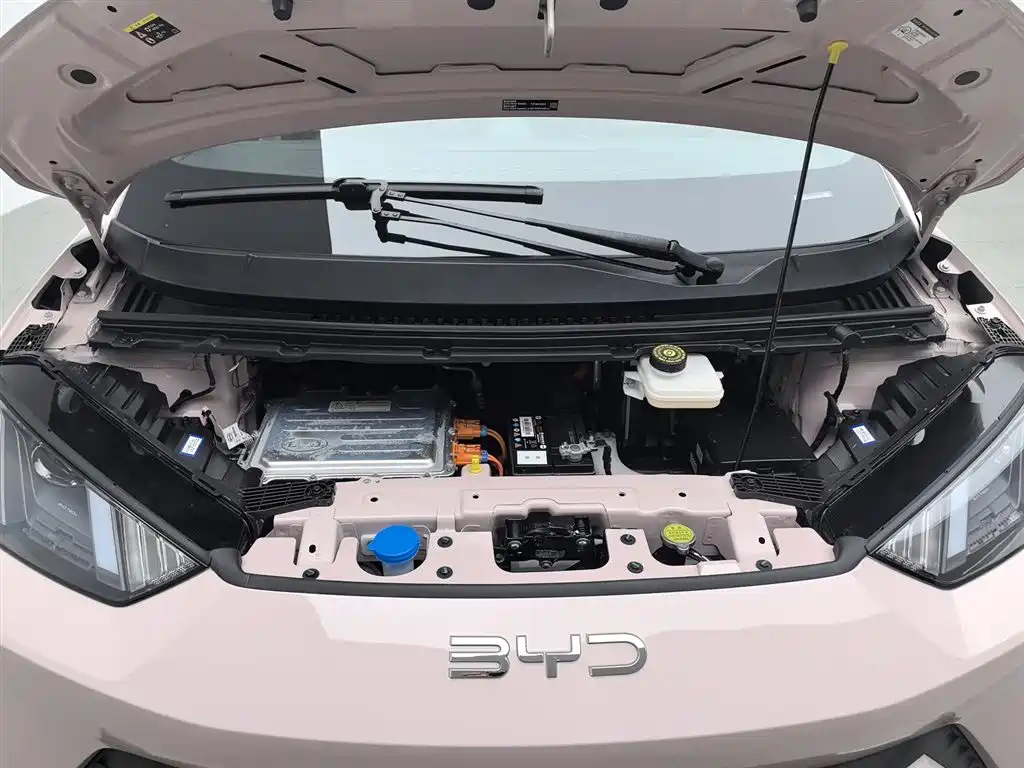 BYD Seagull 2025 305km