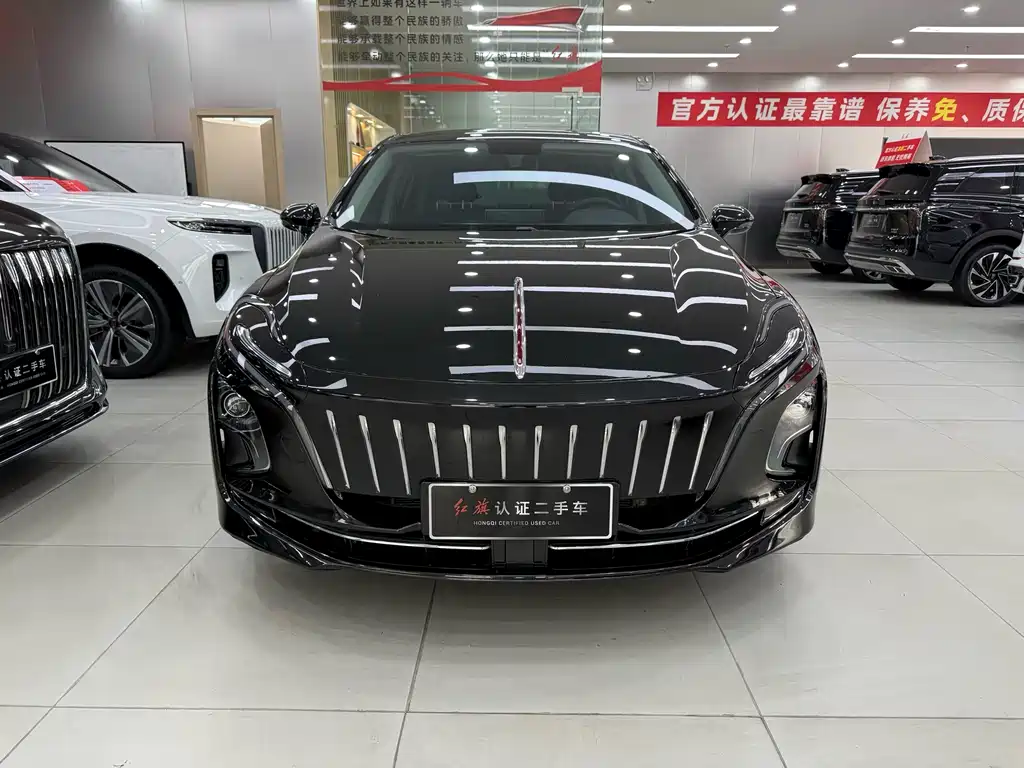 Hongqi HONGQI E QM5