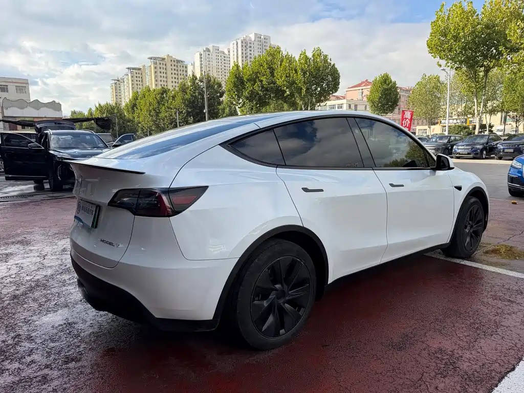 Tesla Model Y — миниатюра 6