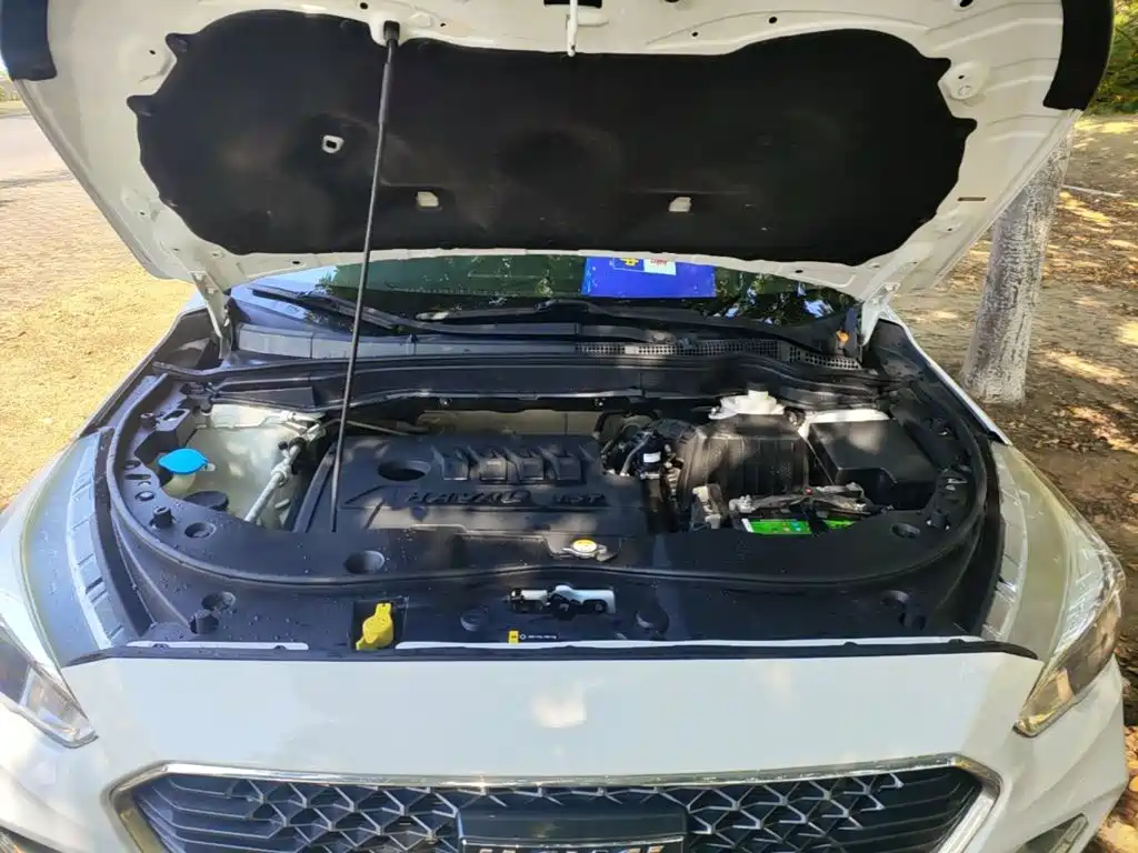 Haval M6 — миниатюра 20