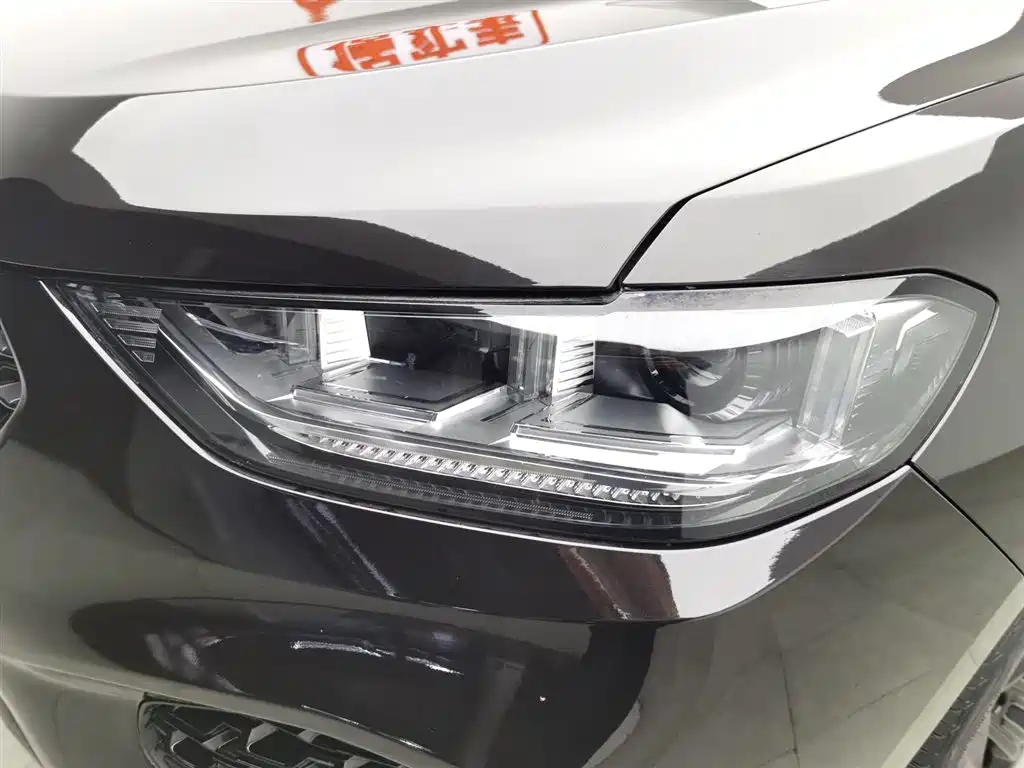 WEI PAI WEI BRAND VV5