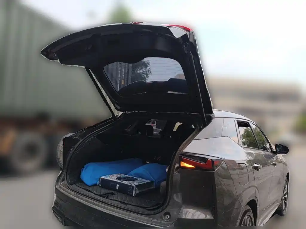 Oshan Oushang Z6 New Energy — миниатюра 10