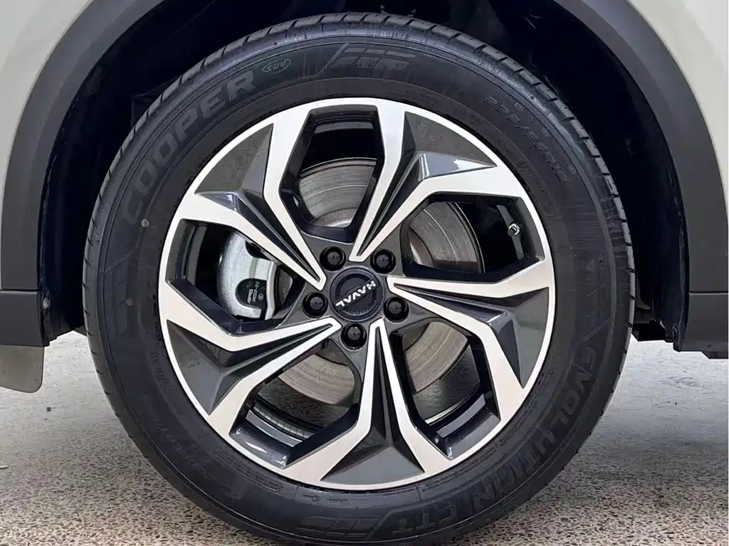 Haval Xiaolong MAX — миниатюра 27