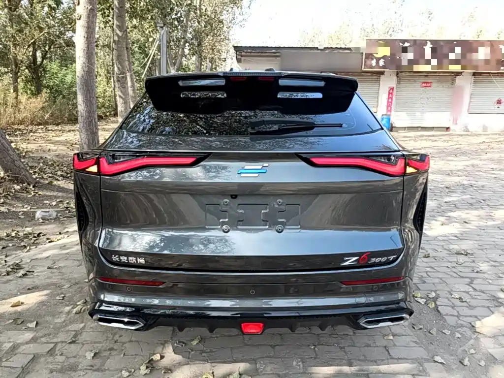 Oshan Oushang Z6 — миниатюра 6