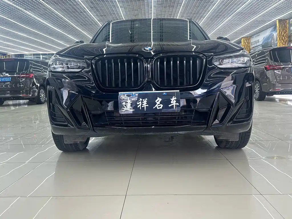 BMW X3 xDrive30i Leading Type M Night Package, фото 2
