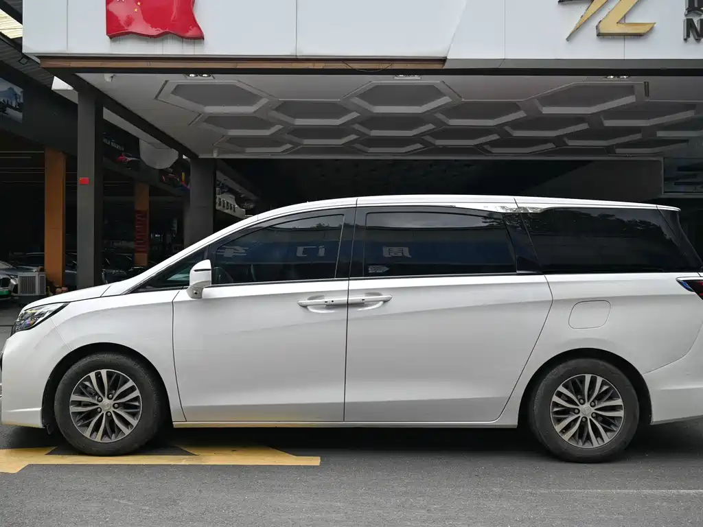 Buick GL8 ES LandKing 653T Premium Type, фото 3
