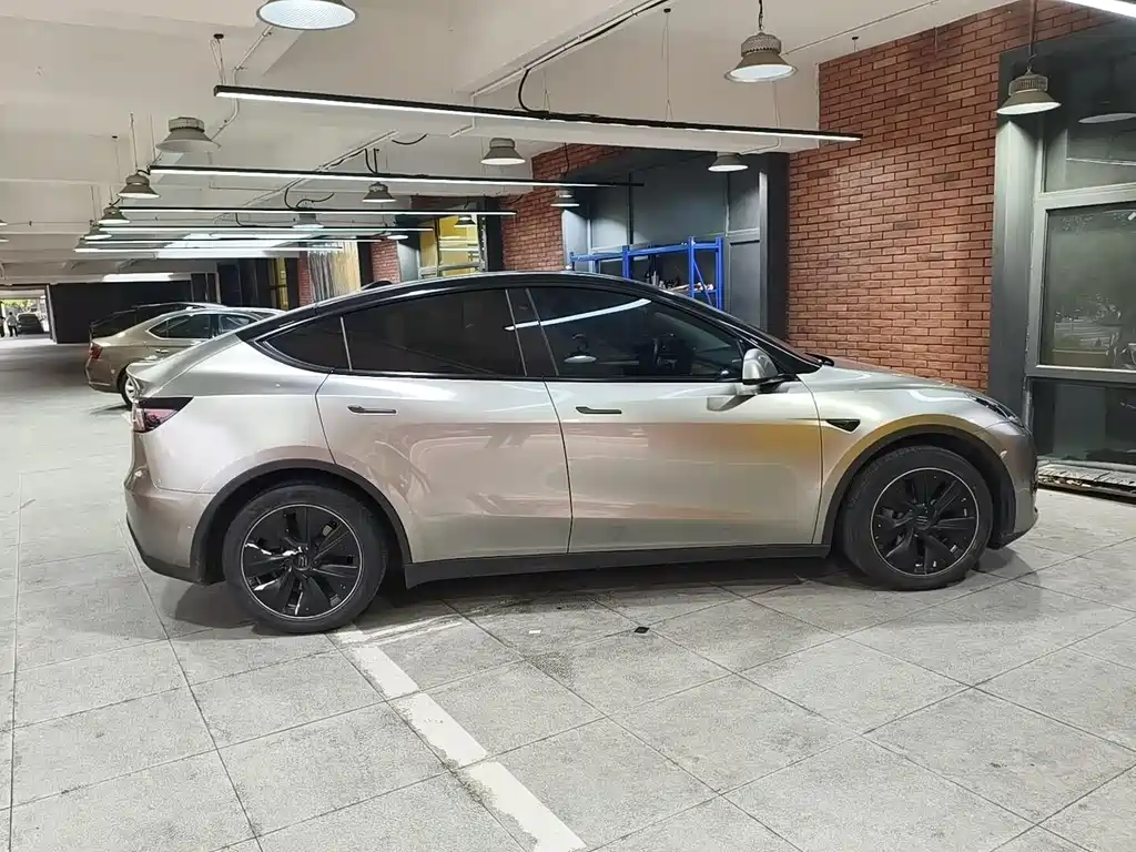 Tesla Model Y — миниатюра 5